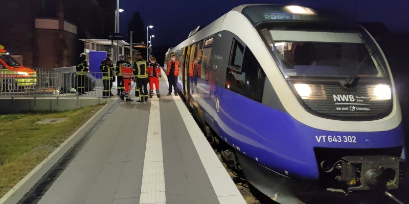 Nord-West-Bahn überfährt Baumstamm und sorgt für Feuerwehreinsatz