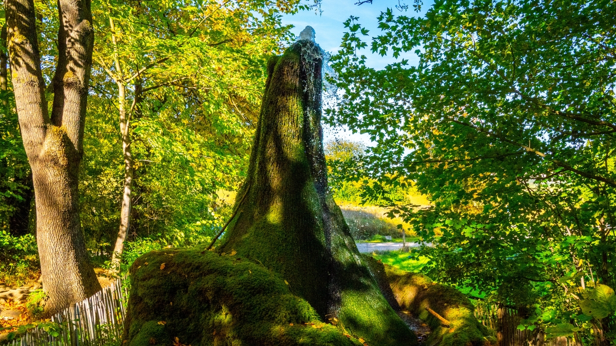 Gemeinsam unterwegs in der Natur: Sechs Touren beim Ith-Hils-Wandertag 2025