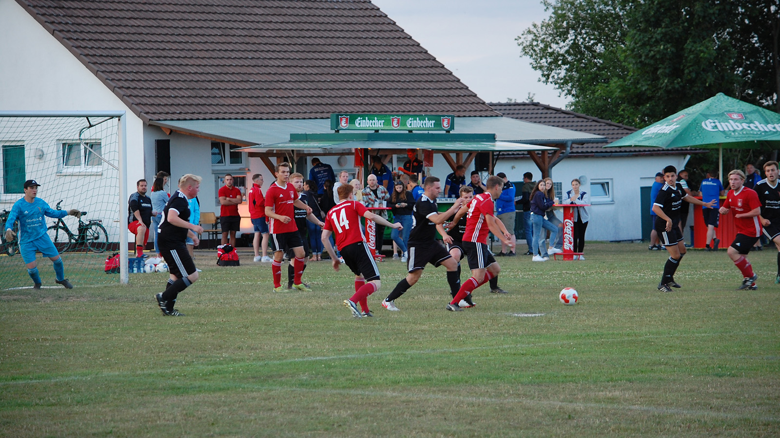 Sport