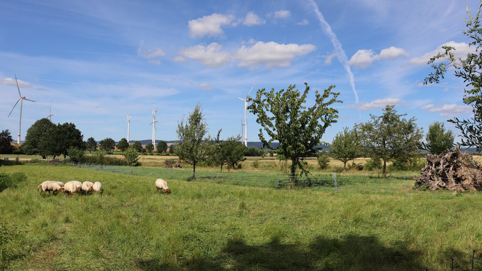 Region Aktiv