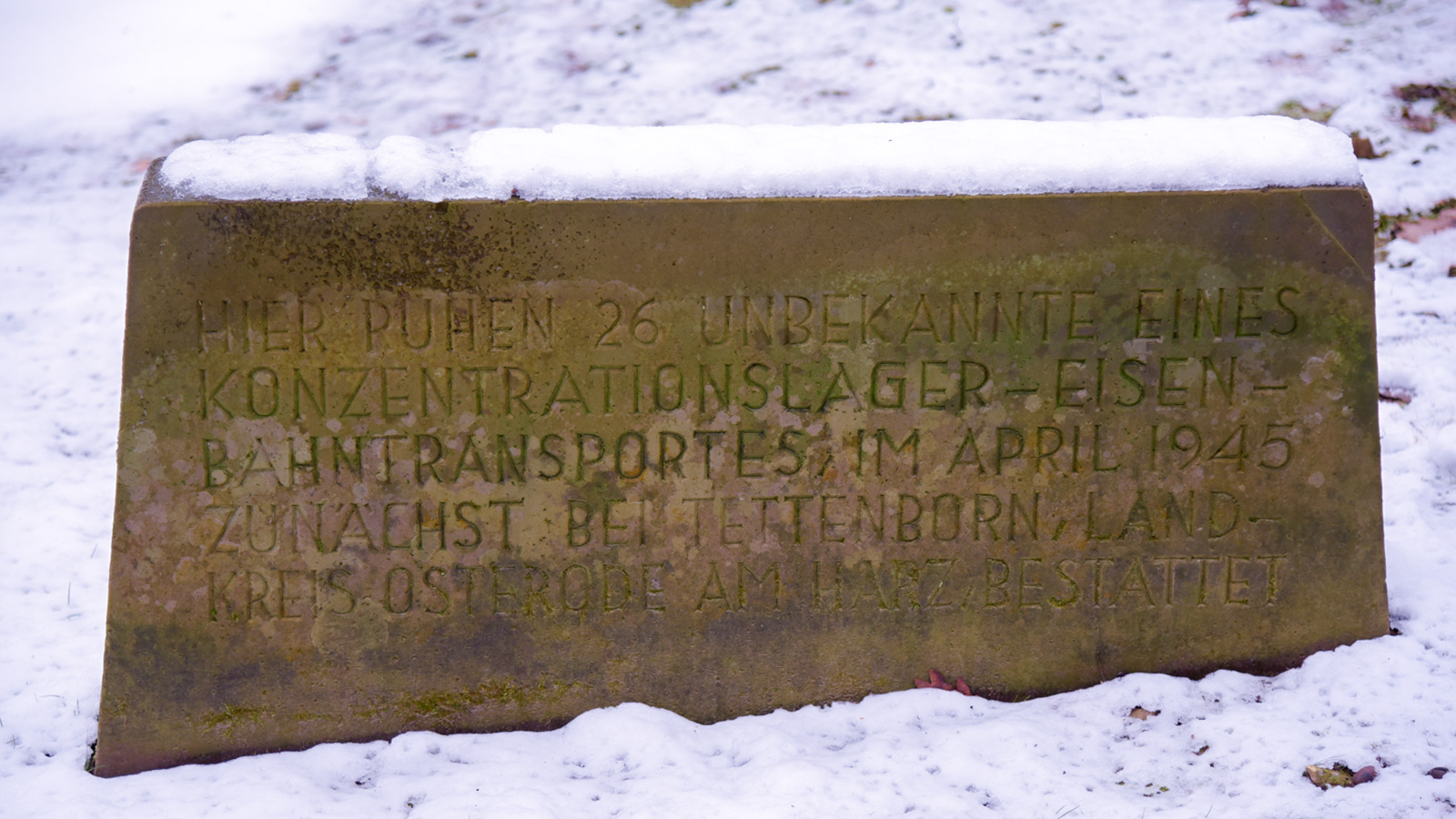 Gedenken an die Opfer des NS-Regimes: Veranstaltung auf dem Ehrenfriedhof Holzen und Vortrag im Dorfgemeinschaftshaus