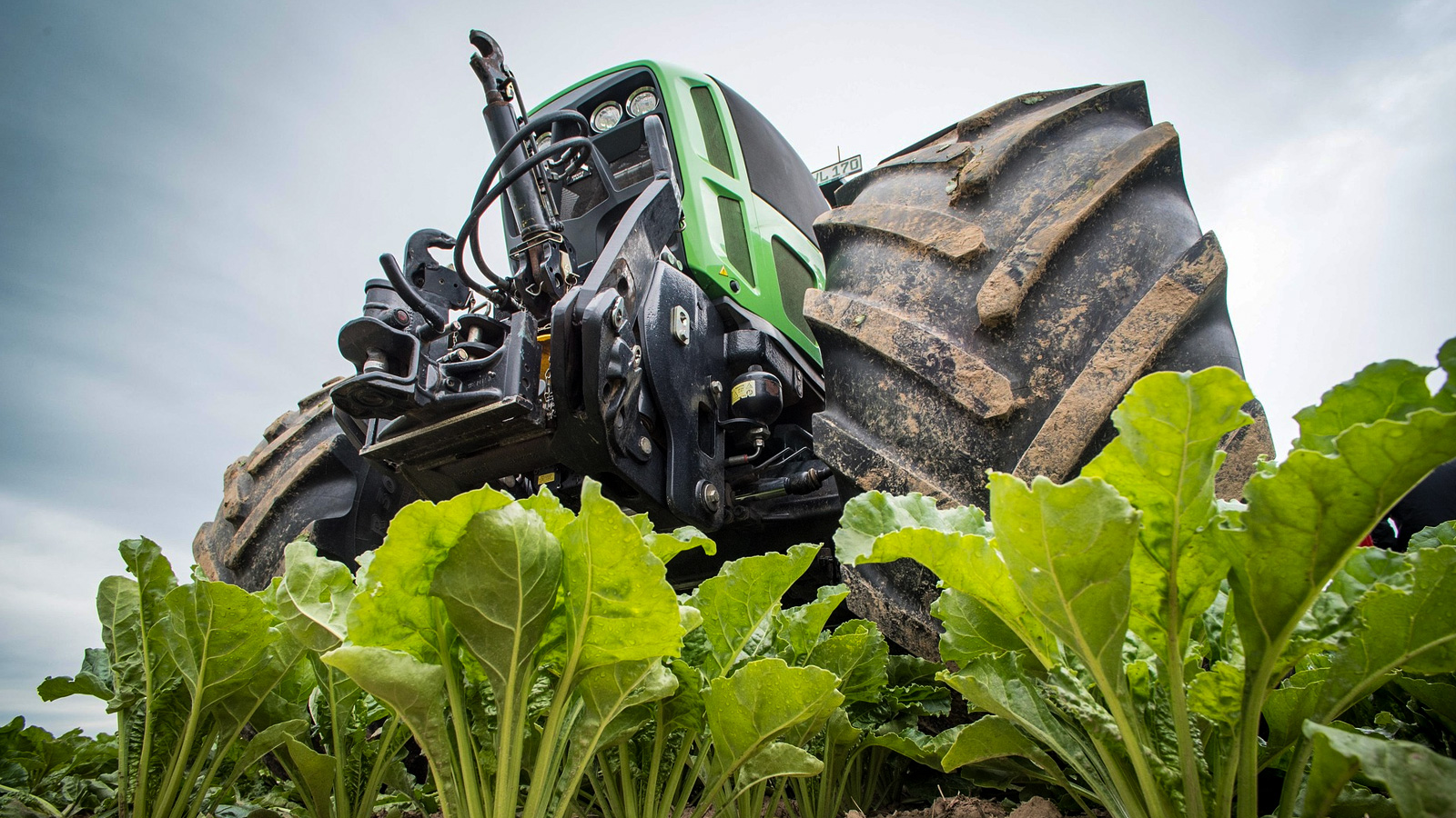 Rübenkampagne 2025/26 beendet: Verband spricht von gutem Ertrag trotz Preisdruck