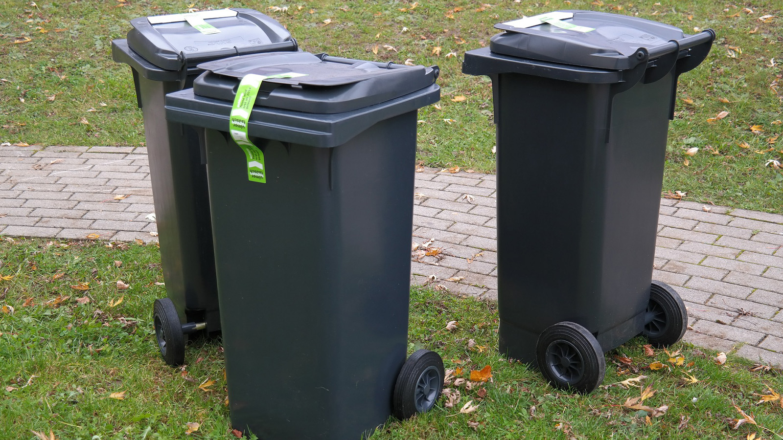 Witterungsbedingter Ausfall der Müllabfuhr: Was Betroffene jetzt wissen müssen