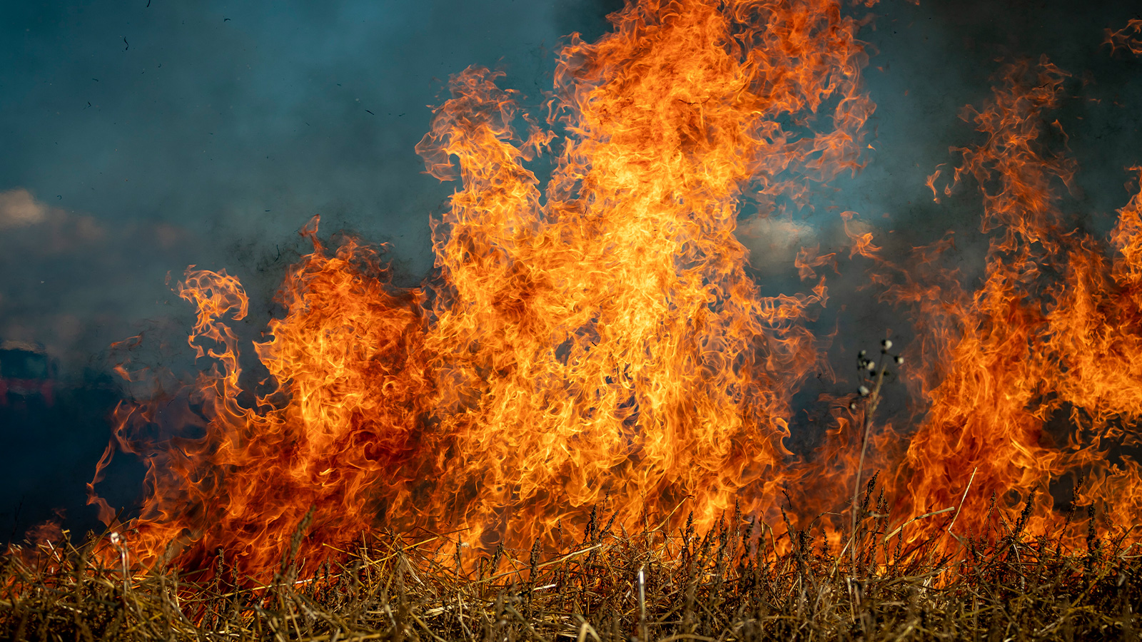 Graslandfeuerindex auf Stufe 4: Schon ein Funke oder eine Zigarette können jetzt Flächenbrände im Landkreis entfachen